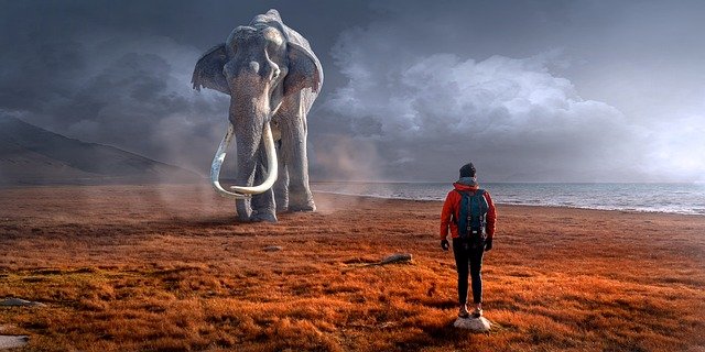 ψυχωσικό επεισόδιο ψυχωτικό επεισόδιο έρημος με ελέφαντα και άνθρωπο  