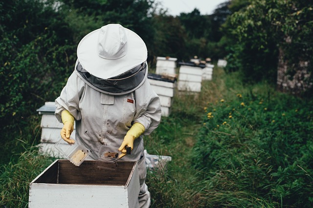 μελισσοκόμος μέλι ιδιότητες θερμίδες μέλι Σχοινούσας